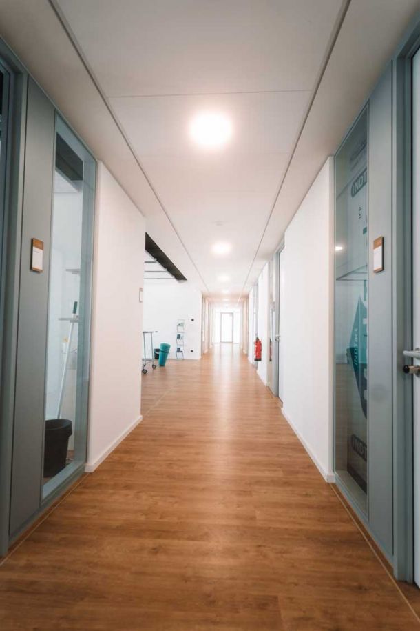 Hier sind Bilder aus dem Inkubator zu sehen