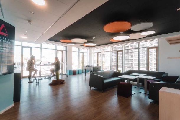 Hier sind Bilder aus dem Inkubator zu sehen