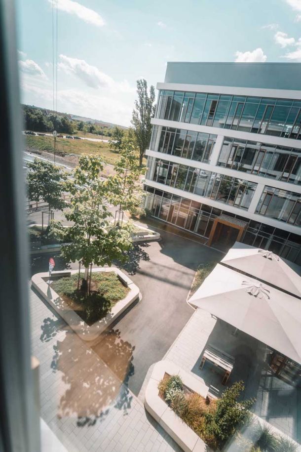 Hier sind Bilder aus dem Inkubator zu sehen