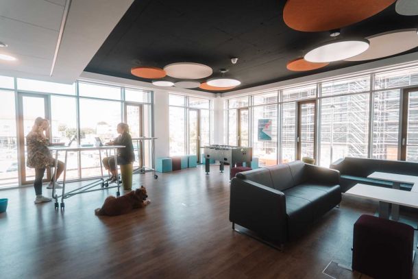 Hier sind Bilder aus dem Inkubator zu sehen